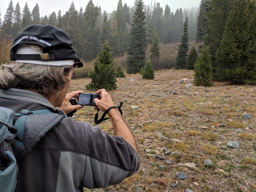 Project to Reform Public Land Grazing in Northern California monitors in Klamath National Forest